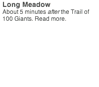 blocks_image