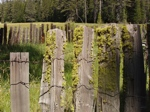 blocks_image
